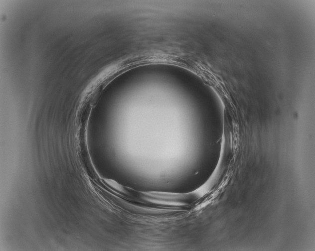 X0000086300197200703301211