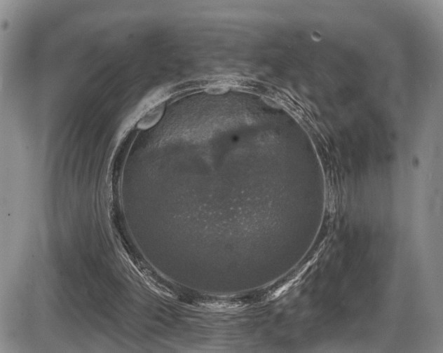 X0000086300198200703301211