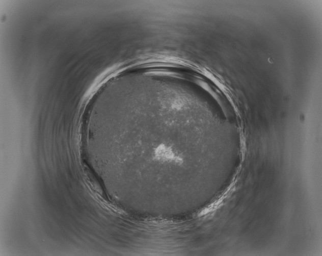 X0000086300199200703301211