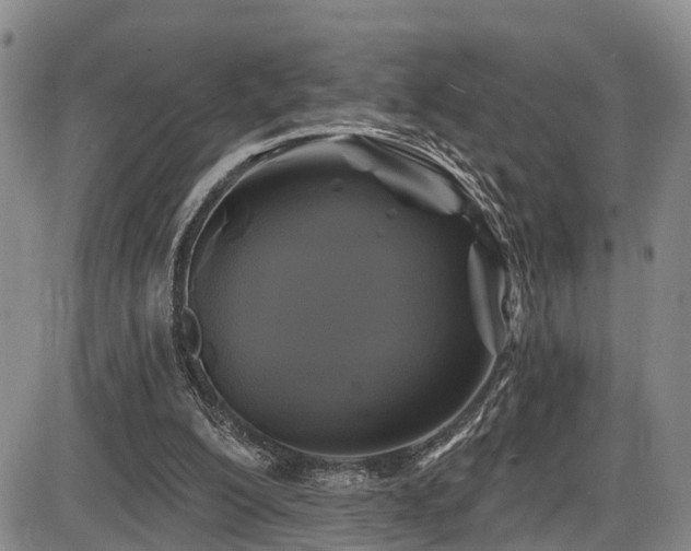 X0000086300200200703301211