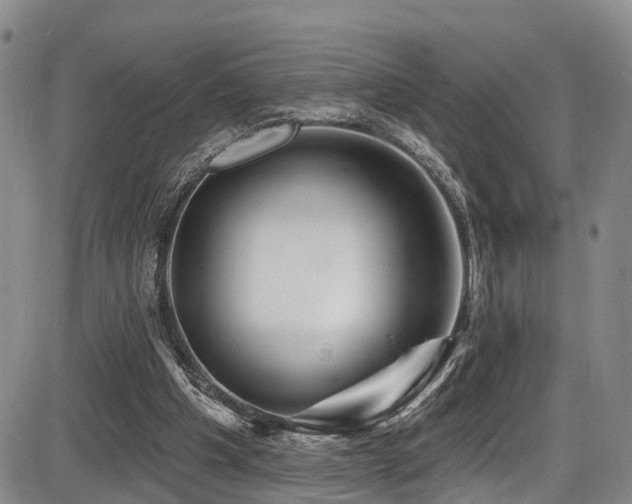 X0000086300201200703301211