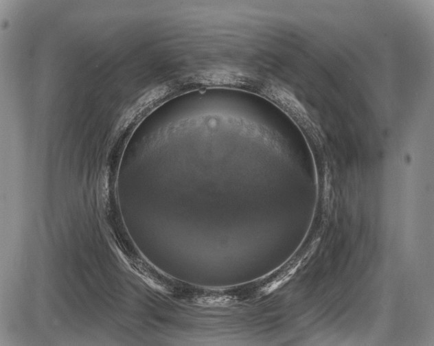 X0000086300202200703301211