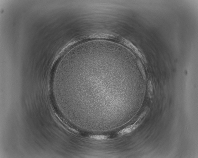 X0000086300203200703301211