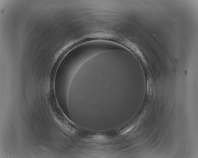 X0000086300204200703301211