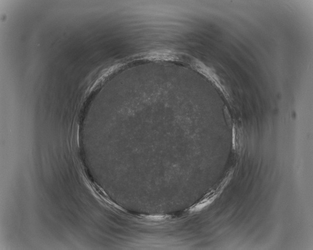 X0000086300205200703301211