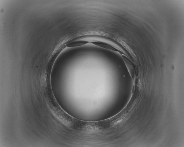 X0000086300207200703301211