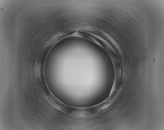 X0000086300209200703301211