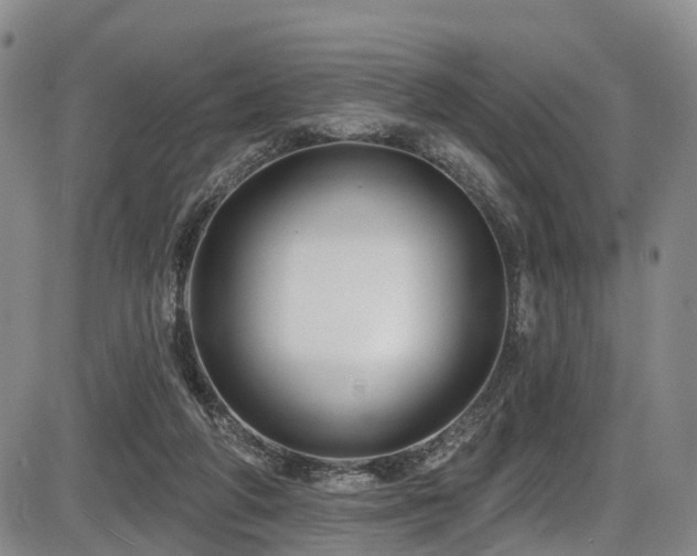 X0000086300210200703301211