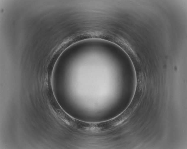 X0000086300212200703301211