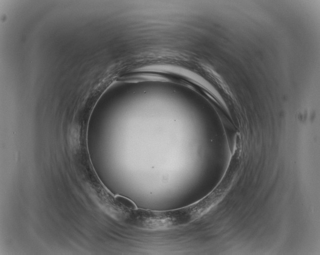 X0000086300213200703301211