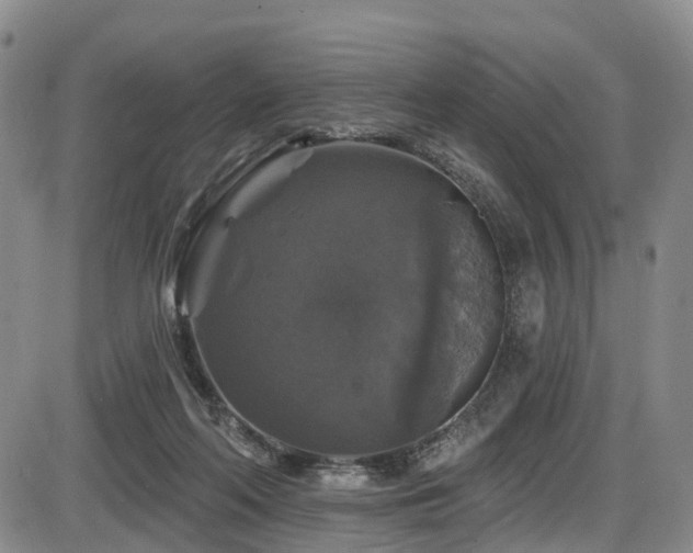 X0000086300214200703301211