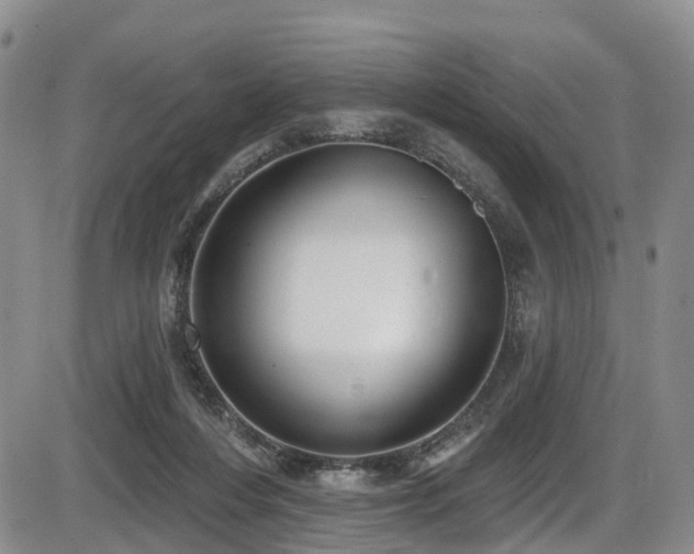 X0000086300216200703301210