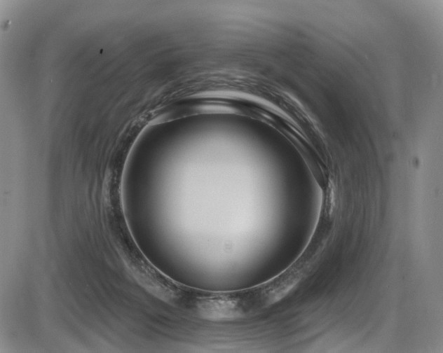 X0000086300217200703301210