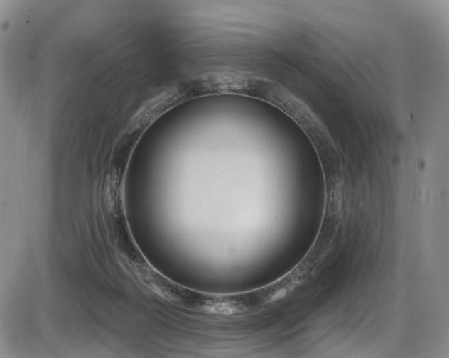 X0000086300218200703301210