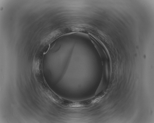 X0000086300219200703301210