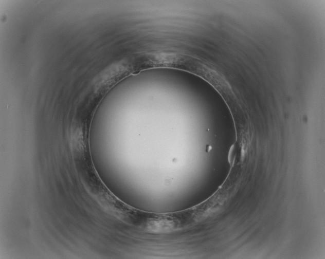 X0000086300220200703301210