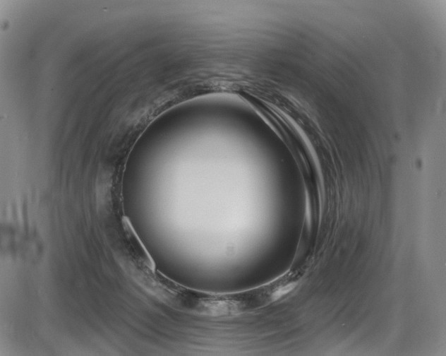 X0000086300221200703301210