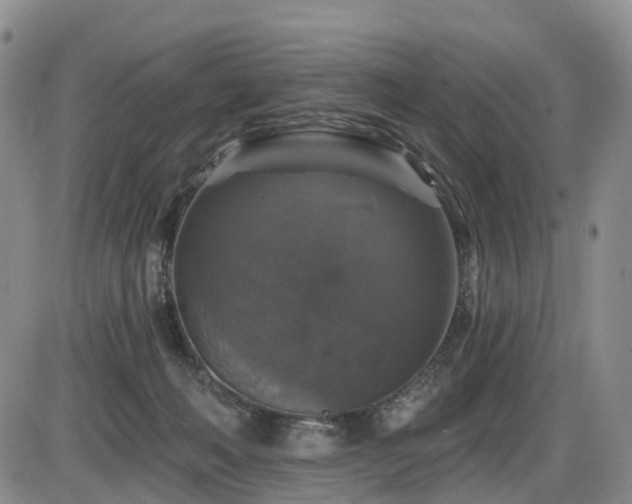 X0000086300222200703301210