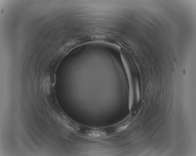 X0000086300223200703301210