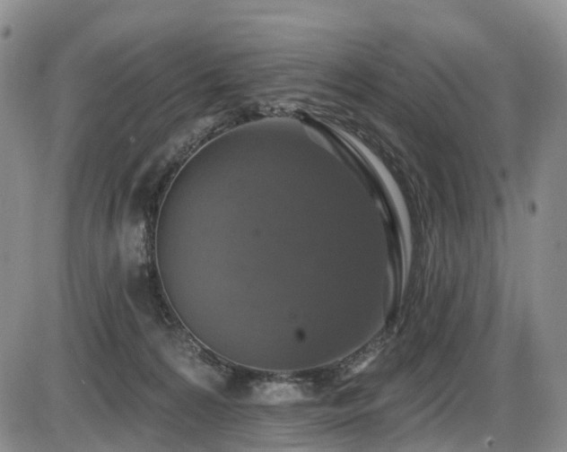 X0000086300224200703301210