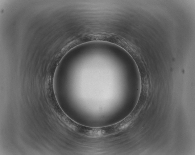 X0000086300225200703301210