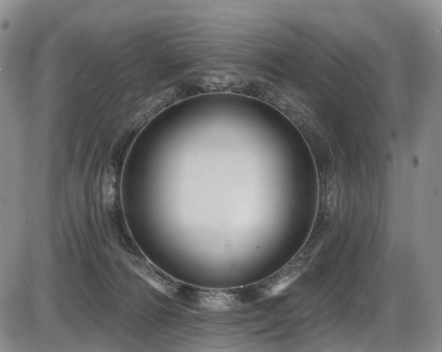 X0000086300226200703301210