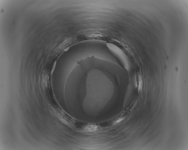 X0000086300227200703301210