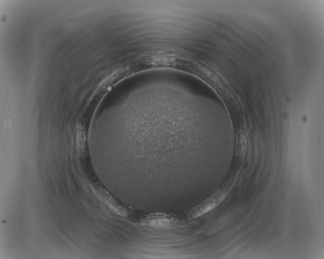 X0000086300228200703301210