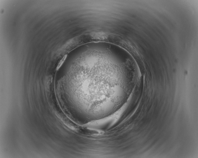 X0000086300229200703301210