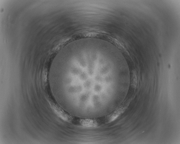 X0000086300230200703301210