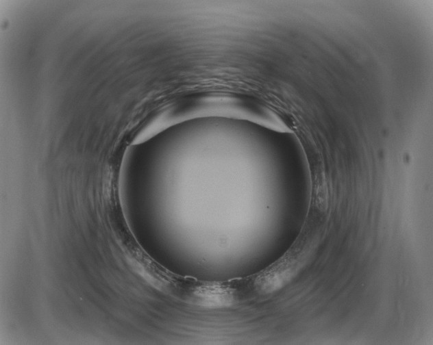 X0000086300231200703301210