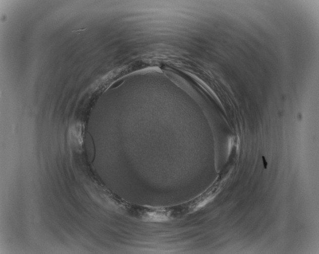 X0000086300232200703301210