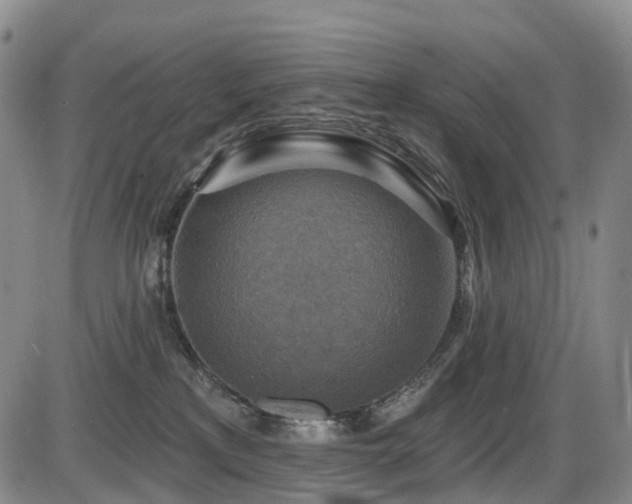 X0000086300233200703301210