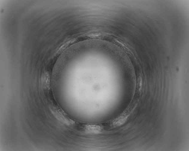 X0000086300234200703301210