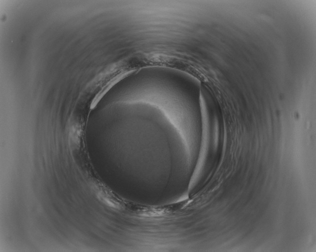 X0000086300235200703301210