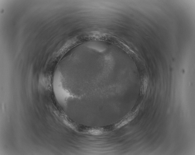 X0000086300236200703301210