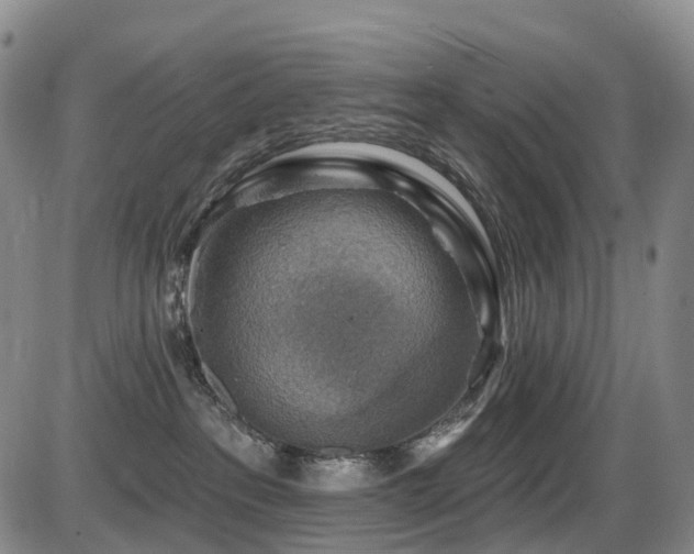 X0000086300237200703301210