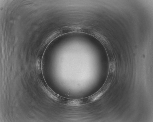 X0000086300238200703301210