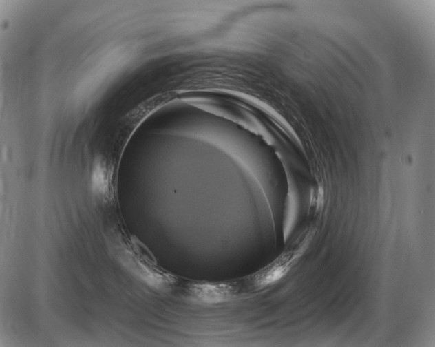 X0000086300239200703301210