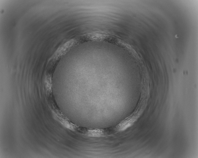 X0000086300240200703301210