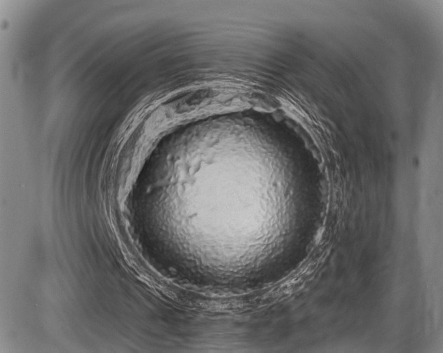 X0000086300241200703301209