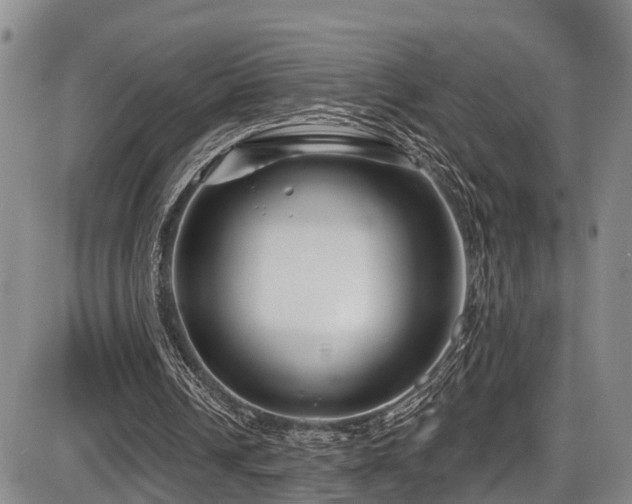 X0000086300242200703301209