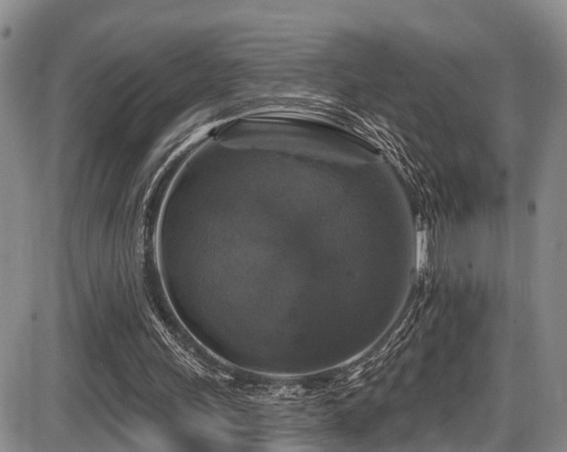 X0000086300243200703301209