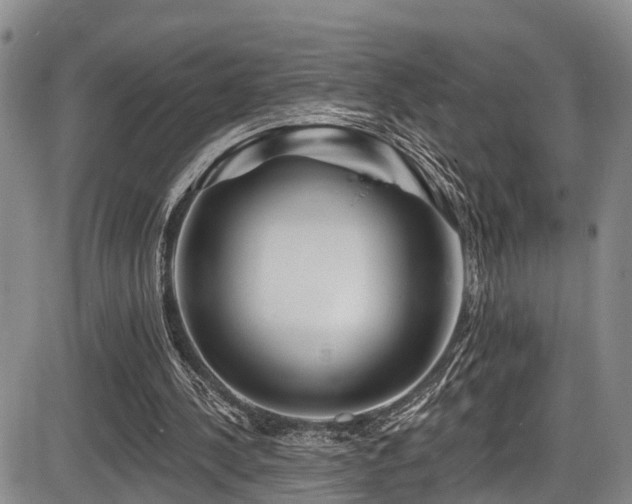 X0000086300244200703301209