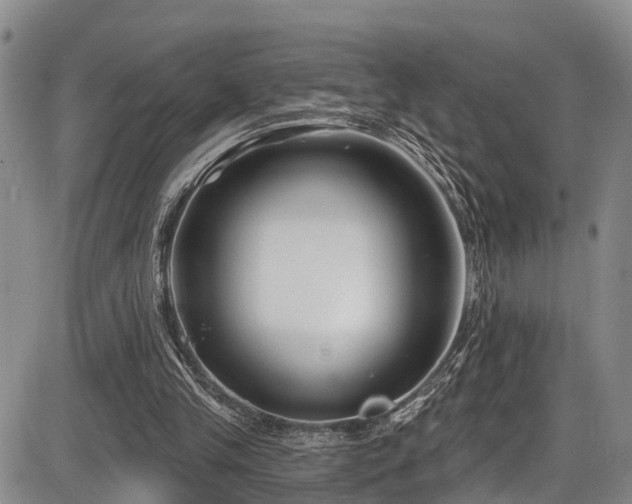 X0000086300245200703301209