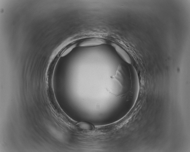 X0000086300246200703301209