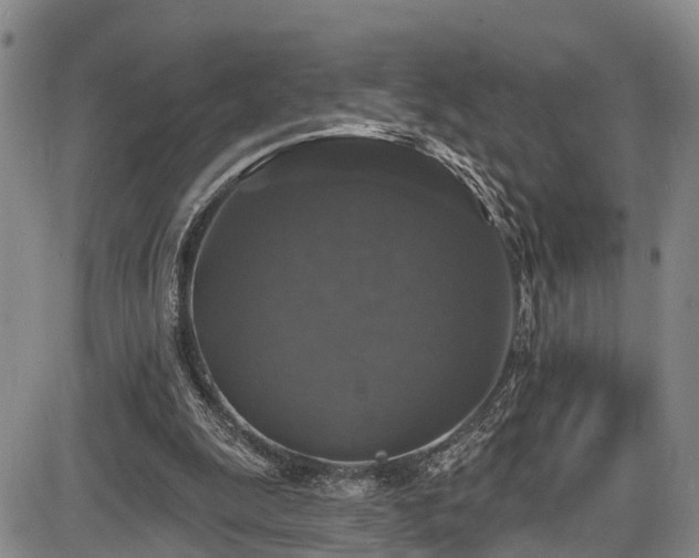 X0000086300247200703301209