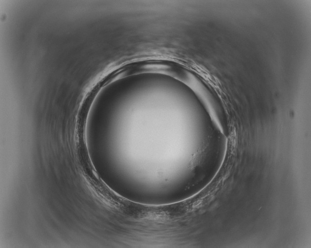 X0000086300248200703301209