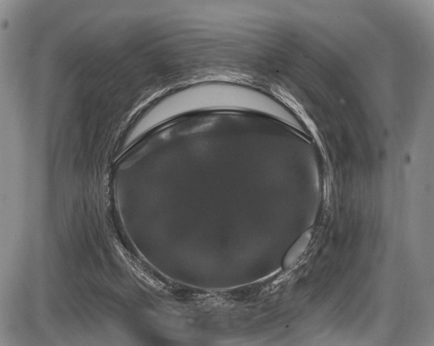 X0000086300249200703301209