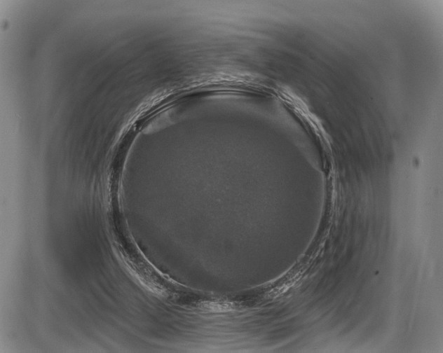 X0000086300250200703301209